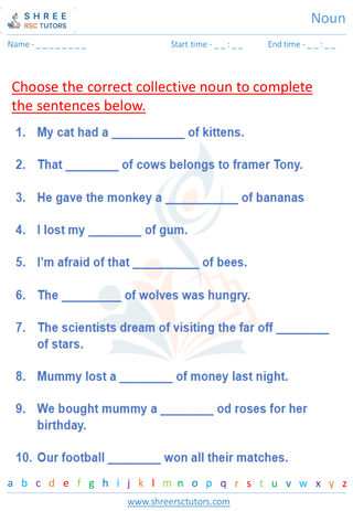 Grade 4  English worksheet: Noun