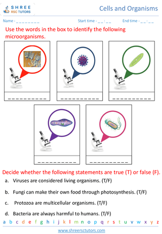 Grade 5  Science worksheet: Cells and Organisms - Basic structure of cells and introduction to microorganisms
