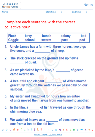 Grade 6  English worksheet: Noun