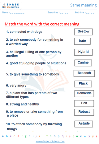 Grade 7  English worksheet: Same meaning
