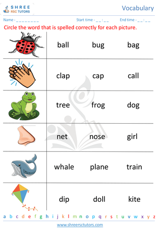 Kindergarten  English worksheet: Vocabulary