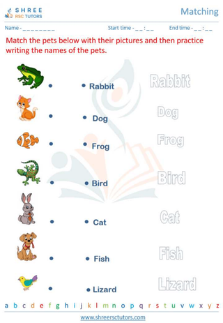 Pre Kindergarten  English worksheet: Matching