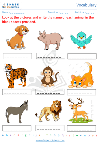 Pre Kindergarten  English worksheet: Vocabulary